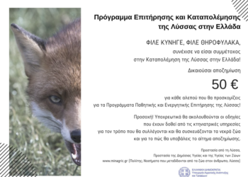 Αξιολόγηση της αποτελεσματικότητας των εμβολιασμών των κόκκινων αλεπούδων μετά την εμβολιαστική εκστρατεία του φθινοπώρου 2020-Έναρξη Ενεργητικής Επιτήρησης