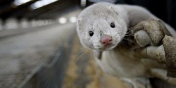 Αποτελέσματα Εκλογών Πανελληνίου Συνδέσμου Εκτροφέων Γουνοφόρων Ζώων