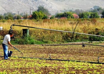 Πρόσκληση υποβολής αιτήσεων για ένταξη στο υπομέτρο 6.1 (Νέοι Γεωργοί) στις Περιφερειακές Ενότητες Κοζάνης και Φλώρινας