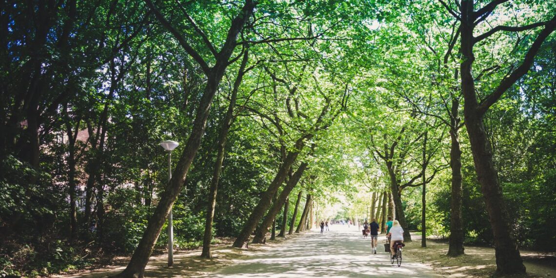 Πανδημία: Ο νο1 παράγοντας που μειώνει το στρες και την κατάθλιψη