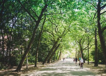 Πανδημία: Ο νο1 παράγοντας που μειώνει το στρες και την κατάθλιψη