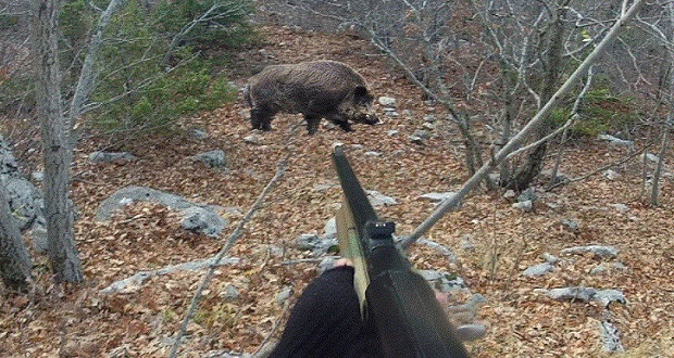 Επιστολή Διαμαρτυρίας του Κυνηγετικού Συλλόγου Εορδαίας σε βουλευτές-περιφερειάρχη-δημάρχους για την μη εξαίρεση στη μετακίνηση των κυνηγών εν μέσω Lockdown