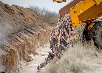 Μεταλλάξεις και μινκ: Βρήκαν 300 παραλλαγές του κορωνοϊού σε ανθρώπους που κόλλησαν από βιζόν!