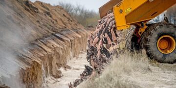 Μεταλλάξεις και μινκ: Βρήκαν 300 παραλλαγές του κορωνοϊού σε ανθρώπους που κόλλησαν από βιζόν!