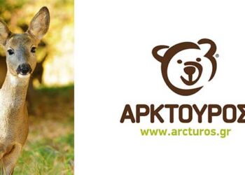 6 ζαρκάδια και ένα νεαρό ελάφι φιλοξενούνται σήμερα στο Κέντρο Επανένταξης Άγριων Ζώων του ΑΡΚΤΟΥΡΟΥ