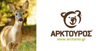6 ζαρκάδια και ένα νεαρό ελάφι φιλοξενούνται σήμερα στο Κέντρο Επανένταξης Άγριων Ζώων του ΑΡΚΤΟΥΡΟΥ