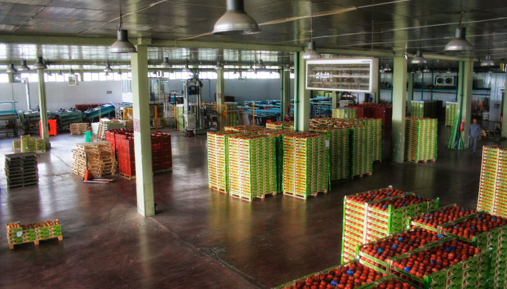 Ο ΑΣΕΠΟΠ στην εποχή της ενεργειακής αυτονομίας- Πήρε όρους σύνδεσης το Φ/Β στέγης- Πόσο θα μειωθεί το κόστος προς τη ΔΕΗ