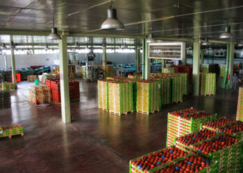 Ο ΑΣΕΠΟΠ στην εποχή της ενεργειακής αυτονομίας- Πήρε όρους σύνδεσης το Φ/Β στέγης- Πόσο θα μειωθεί το κόστος προς τη ΔΕΗ