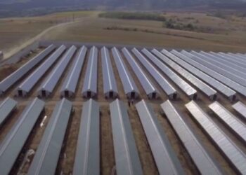 Εντός της μονάδας εκτροφής η θανάτωση και η ταφή των μινκ- Όλη η διαδικασία