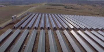 Εντός της μονάδας εκτροφής η θανάτωση και η ταφή των μινκ- Όλη η διαδικασία