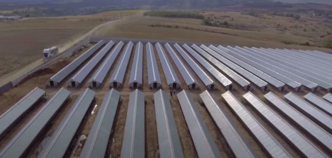 Εντός της μονάδας εκτροφής η θανάτωση και η ταφή των μινκ- Όλη η διαδικασία