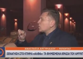 Το ρεπορτάζ της τηλεόρασης του OPEN για το Κτήμα “ΑΛΦΑ” και τα φημισμένα κρασιά του Αμυνταίου (VIDEO)