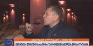 Το ρεπορτάζ της τηλεόρασης του OPEN για το Κτήμα “ΑΛΦΑ” και τα φημισμένα κρασιά του Αμυνταίου (VIDEO)
