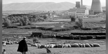 Αύγουστο του 1950: Οταν η ΔΕΗ μπήκε στην… πρίζα