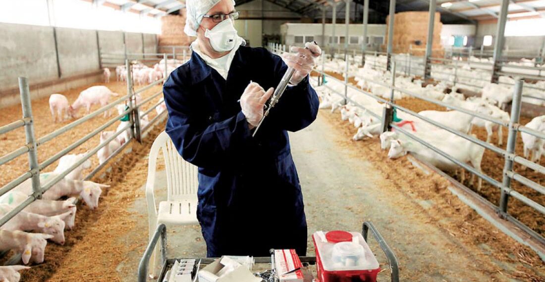 Υπογραφή συμβάσεων με κτηνιάτρους από την Περιφέρεια Δυτικής Μακεδονίας, λόγω της εξάπλωσης του Covid 19