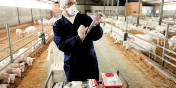 Υπογραφή συμβάσεων με κτηνιάτρους από την Περιφέρεια Δυτικής Μακεδονίας, λόγω της εξάπλωσης του Covid 19