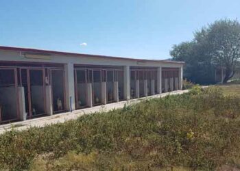 Και επίσημα η αδειοδότηση του Καταφυγίου Αδέσποτων Ζώων του Δήμου Εορδαίας – Αναρτήθηκε στη ΔΙΑΥΓΕΙΑ