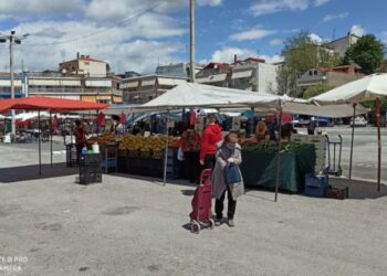 Πως θα λειτουργήσει η λαϊκή αγορά Πτολεμαΐδας της Τετάρτης – Σε ποσοστό 50% οι θέσεις πωλητών στην κύρια αγορά όσο και στην επέκταση της– Με όλα τα μέτρα ασφαλείας – Συμμετέχοντες