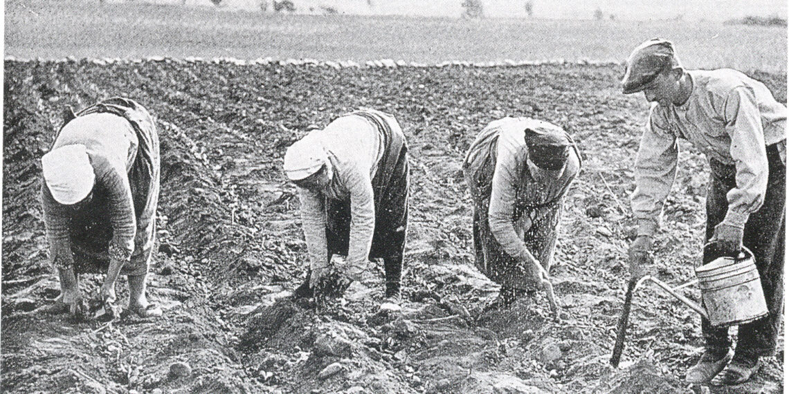 Ο Σαράτσον και τα καπνά…-του Παναγιώτη Μωυσιάδη
