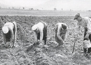 Ο Σαράτσον και τα καπνά…-του Παναγιώτη Μωυσιάδη
