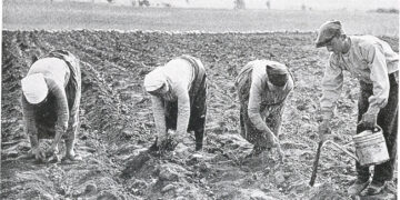 Ο Σαράτσον και τα καπνά…-του Παναγιώτη Μωυσιάδη