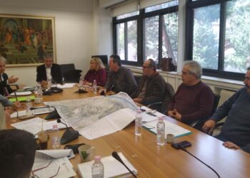 Συγκρότηση φορέα διαχείρισης λιμναίων υποδομών λίμνης Πολυφύτου για την τουριστική αξιοποίηση της περιοχής