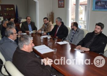 Αναπτυξιακό συνέδριο για τη δίκαιη μετάβαση στη μεταλιγνιτική εποχή προτείνουν τα Επιμελητήρια της Δυτικής Μακεδονίας