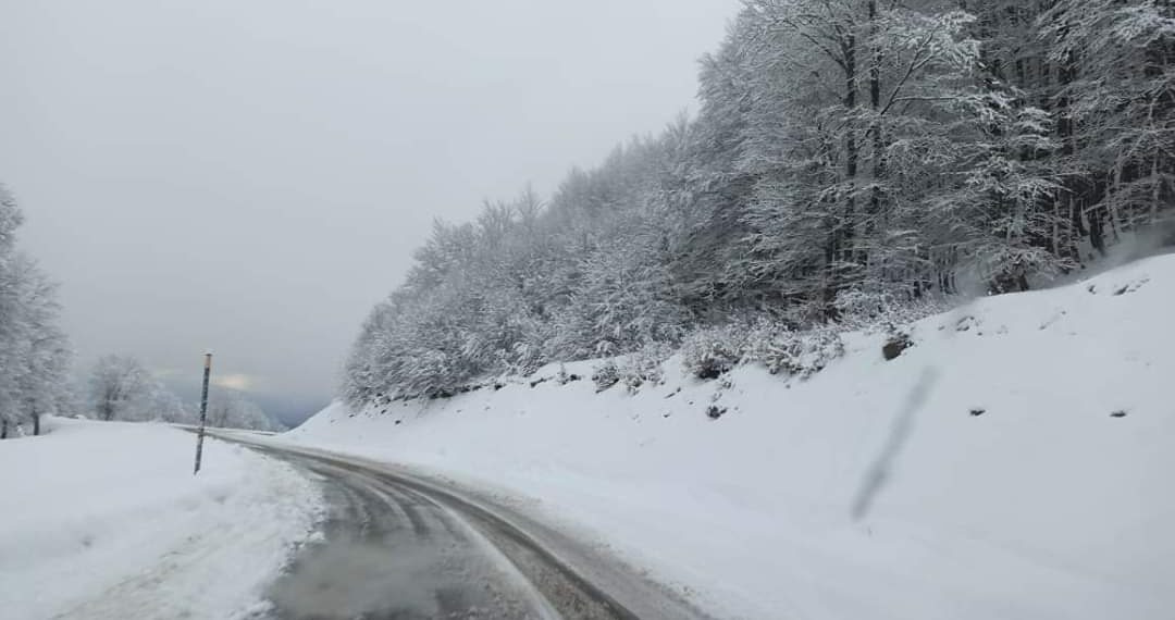 Ανοιχτό για σκι το Σαββατοκύριακο το Χιονοδρομικό κέντρο Βασιλίτσας μετά τη χθεσινή χιονόπτωση – Σημερινές φωτογραφίες