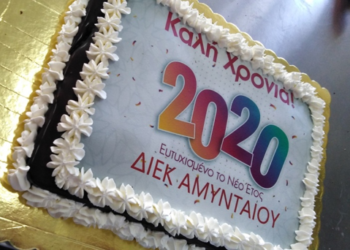 Έκοψε τη πίτα του το ΔΙΕΚ Αμυνταίου