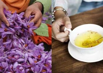 Κρόκος Κοζάνης: Ευεργετικές ιδιότητες, σωστός τρόπος χρήσης και ασθένειες που καταπολεμά