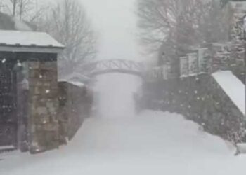 Πυκνή χιονόπτωση σήμερα στο Νυμφαίο Φλώρινας (VIDEO)