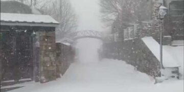 Πυκνή χιονόπτωση σήμερα στο Νυμφαίο Φλώρινας (VIDEO)