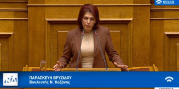 Ομιλία της Π. Βρυζίδου στη Βουλή για την ασφαλιστική μεταρρύθμιση