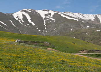 Δραστηριότητες Ορειβατικής Λέσχης Εορδαίας