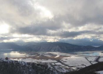 Κοινή τοποθέτηση Περιβαλλοντικών Οργανώσεων επί του αναμενόμενου νομοσχεδίου για περιβαλλοντικά ζητήματα