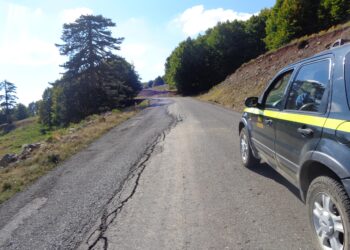 “Δημοπρατείται από τον Δήμο Γρεβενών με 1 εκατ. € η συντήρηση της οδού προς Χιονοδρομικό Κέντρο Βασιλίτσας”