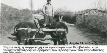 Η συμμετοχή των Βουβαλιών στη γεωργοκτηνοτροφική ανάπτυξη της προσφυγικής περιοχής μας του παρελθόντος!! – Από τη στήλη του κ. Γ. Καζαντζή στον Παλμό 12/02/2020