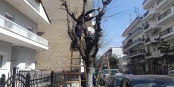 Δήμος Γρεβενών: Κλαδιά δέντρων και θάμνων ιδιωτικών οικοπέδων και κτημάτων που εμποδίζουν την ασφαλή κυκλοφορία πεζών και οχημάτων- Δελτίο Τύπου