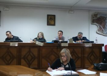 Ενημέρωση στο Δημοτικό Συμβούλιο Εορδαίας για τα προληπτικά μέτρα κορωνοϊού (βίντεο)