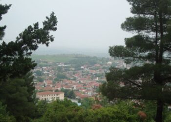 Παγκόσμια ημέρα Δασοπονίας 21η Μαρτίου- του Γιώργου Τζέλλου