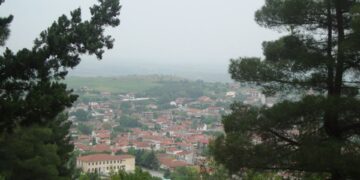 Παγκόσμια ημέρα Δασοπονίας 21η Μαρτίου- του Γιώργου Τζέλλου