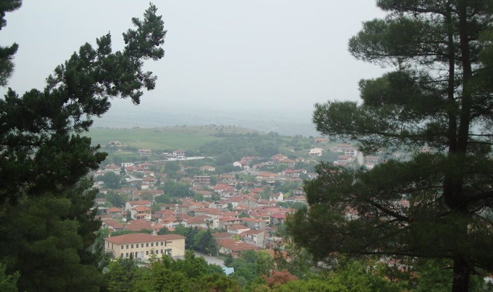 Παγκόσμια ημέρα Δασοπονίας 21η Μαρτίου- του Γιώργου Τζέλλου