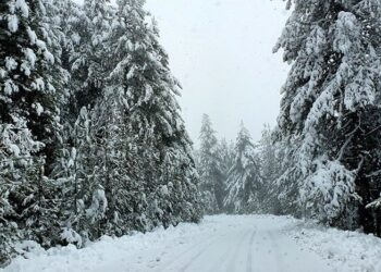 Γρεβενά: Πίνδος όπως… Άλπεις