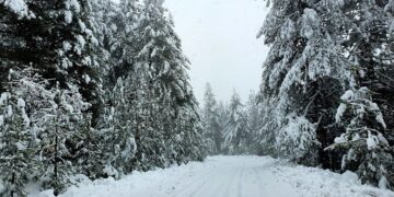 Γρεβενά: Πίνδος όπως… Άλπεις