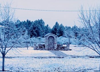 Πανέμορφες κατάλευκες εικόνες από το Πρωτοχωρι Κοζάνης στα λευκά