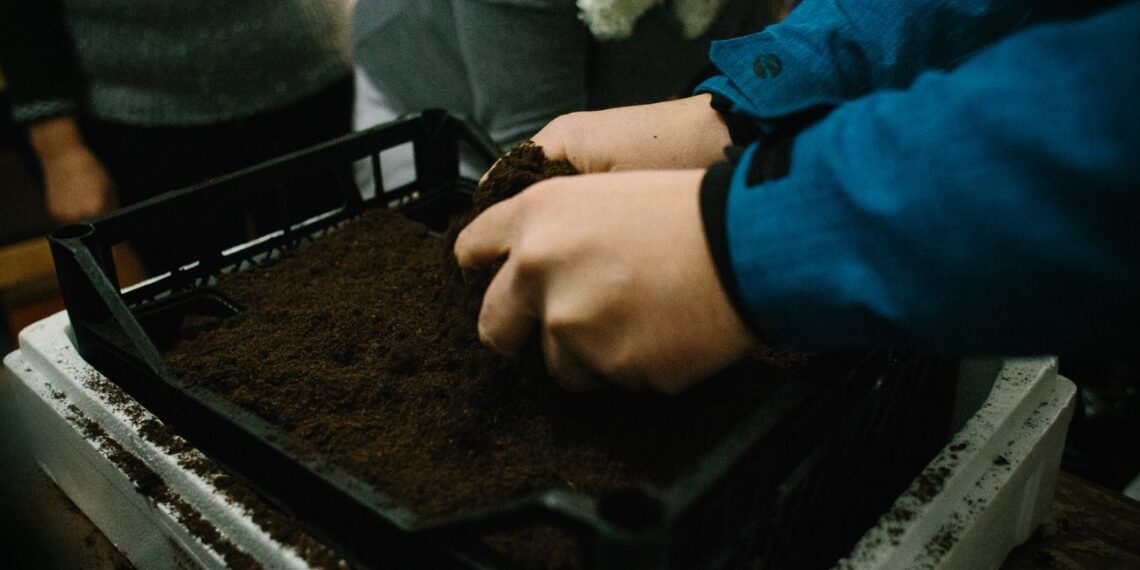 ΑΡΣΙΣ: Πρόσκληση στο Ανοιξιάτικο Σπορείο του 1ου Περιαστικού Λαχανόκηπου Κοζάνης