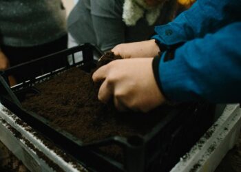 ΑΡΣΙΣ: Πρόσκληση στο Ανοιξιάτικο Σπορείο του 1ου Περιαστικού Λαχανόκηπου Κοζάνης