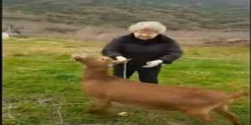 Κορωνοϊός: Μιλώντας στα Ποντιακά, βγάζει βόλτα… την κατσίκα της και γίνεται Viral (Video)