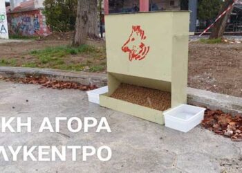 Ταΐστρες και δοχεία νερού για τα αδέσποτα τοποθέτησε ο δήμος Εορδαίας