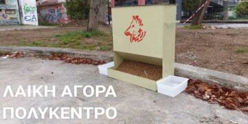 Ταΐστρες και δοχεία νερού για τα αδέσποτα τοποθέτησε ο δήμος Εορδαίας